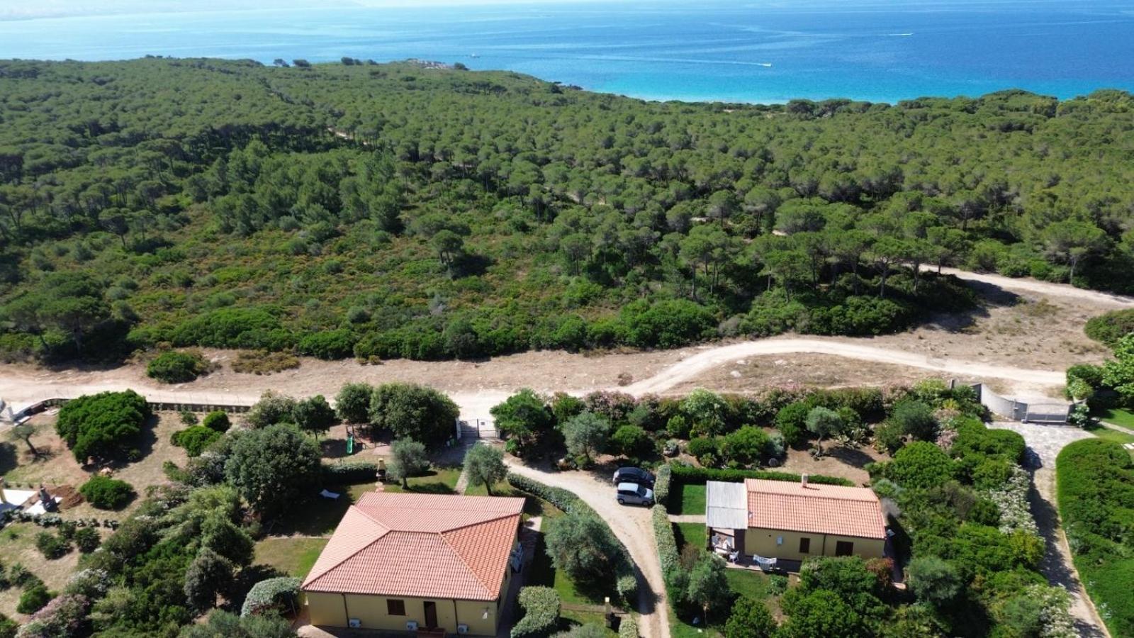 Rosanna House In Bombarde Beach Alghero Exteriér fotografie